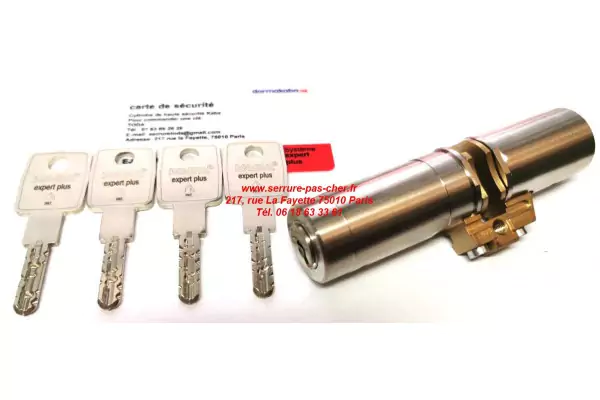 cylindre kaba expert pour serrure fichet fortissime